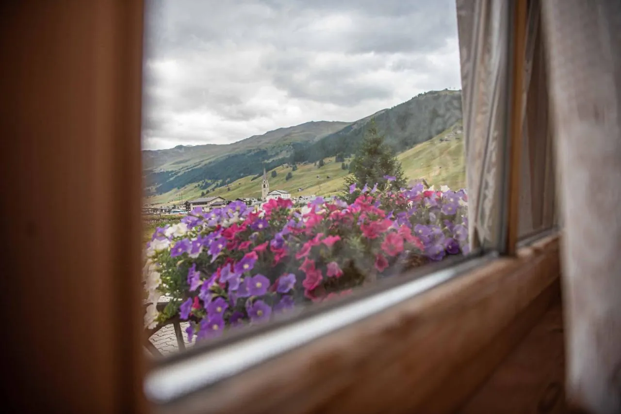 Family House Amalia Myholidaylivigno Italy